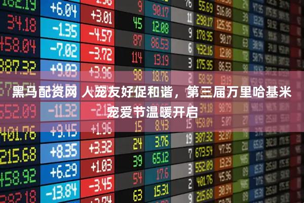 黑马配资网 人宠友好促和谐，第三届万里哈基米宠爱节温暖开启