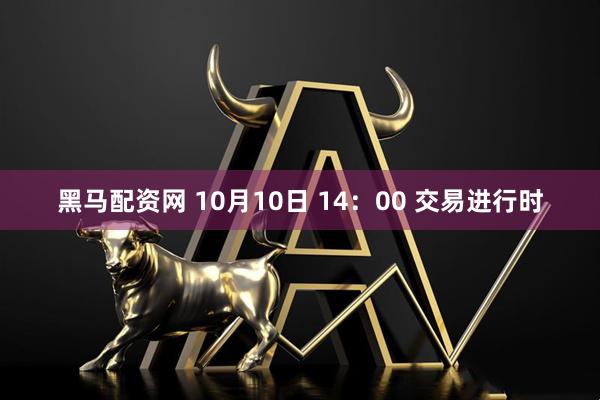 黑马配资网 10月10日 14：00 交易进行时