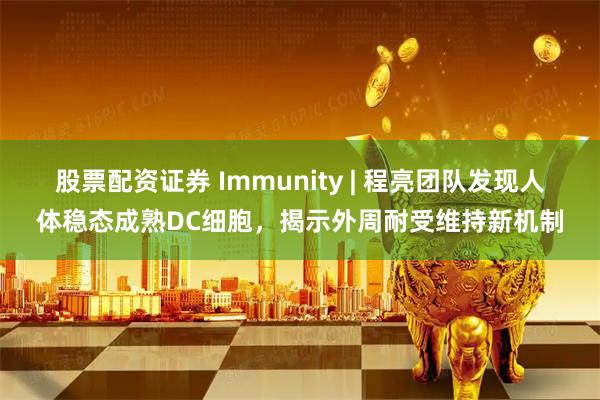 股票配资证券 Immunity | 程亮团队发现人体稳态成熟DC细胞，揭示外周耐受维持新机制